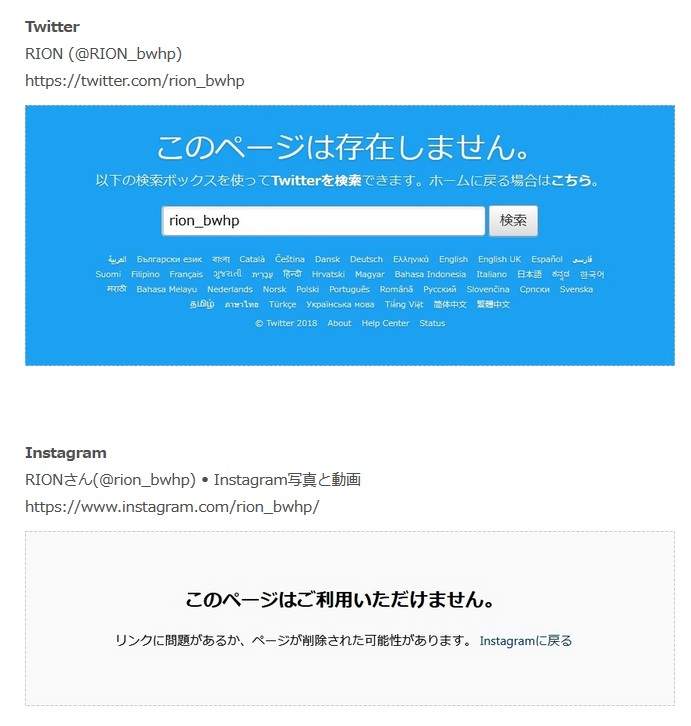 《RION》写真新作推出但社群网站依旧持续消失中 - 图片6